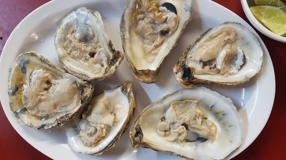 Oysters